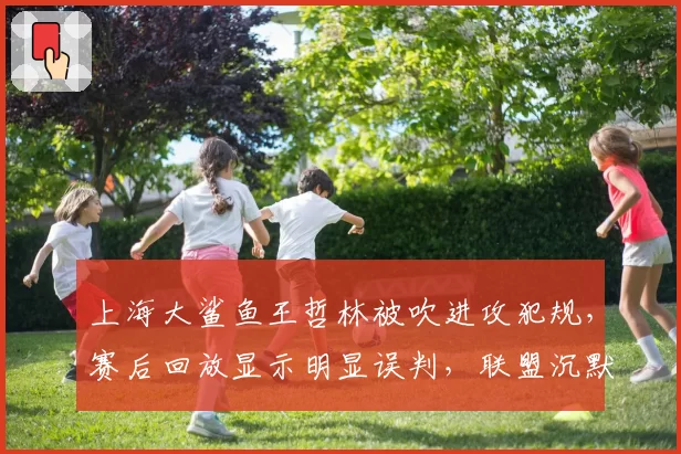 上海大鲨鱼王哲林被吹进攻犯规,赛后回放显示明显误判,联盟沉默应对