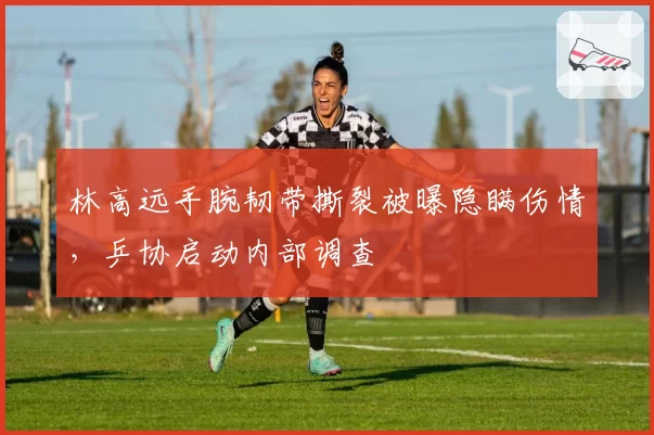 林高远手腕韧带撕裂被曝隐瞒伤情,乒协启动内部调查